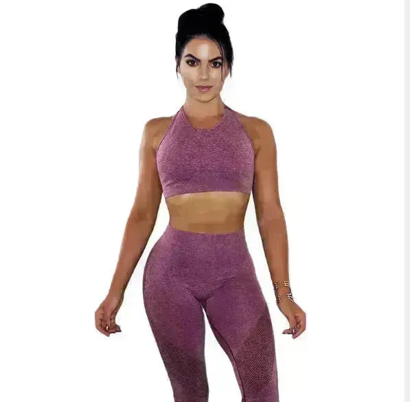 Push Up Gym Set